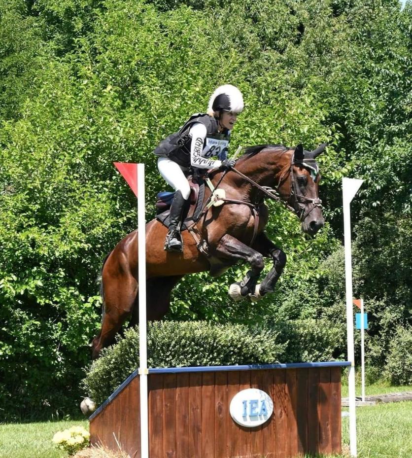 Hummingbird Stables Show Team